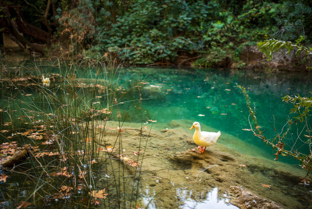 kurşunlu waterfall in Antalya in Turkey