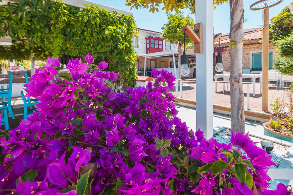 Restaurant in Side in Antalya in Turkey