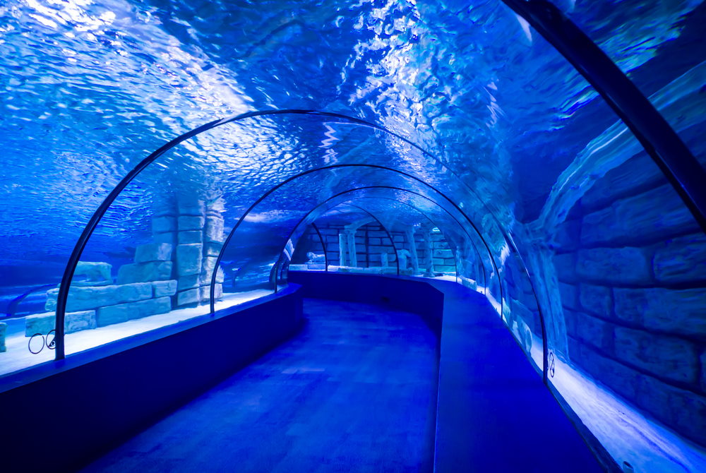 aquarium tunnel in Antalya in Turkey