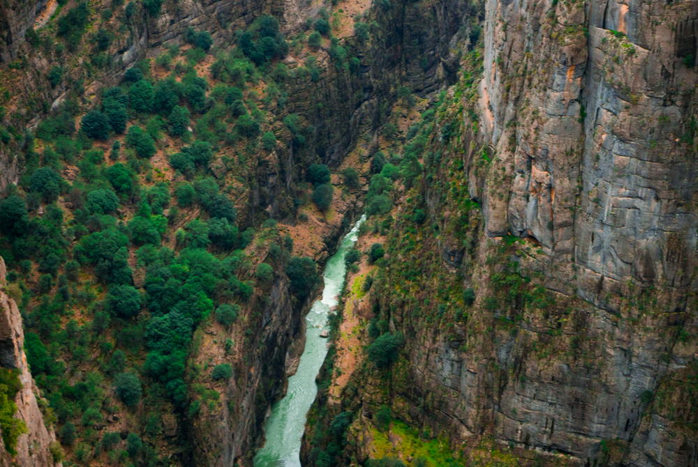 tazı - eagles- canyon in antalya in turkey
