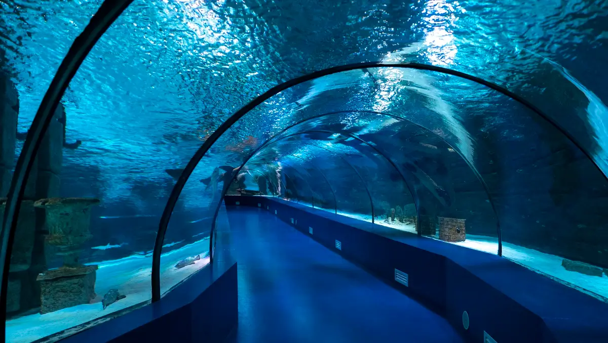 Eintrittskarte für das Antalya-Aquarium mit Hoteltransfer