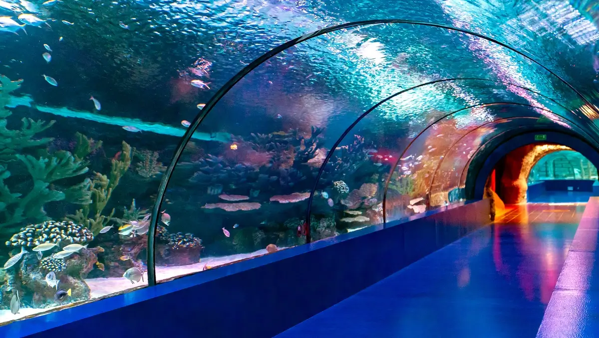 Eintrittskarte für das Antalya Aquarium