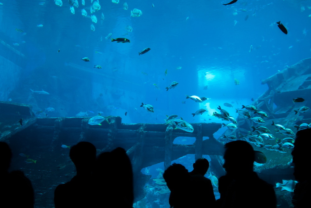 Aquarium in Antalya in Turkey