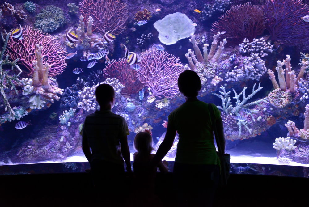 aquarium in Antalya in Turkey