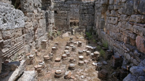 phaslys 2024-08-07 at 19.01.06