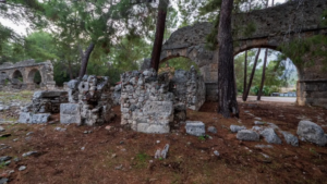 phaslys 2024-08-07 at 19.01.17