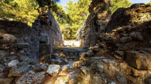 phaslys 2024-08-07 at 19.01.26