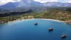 phaslys 2024-08-07 at 19.01.59